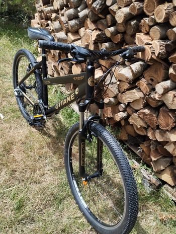 Used Gitane VTT Street Cruiser 2010 MTB