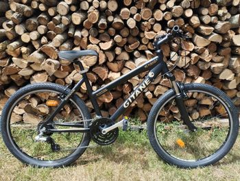 Used Gitane VTT Street Cruiser 2010 Mountainbike, Black — image 2 of 4