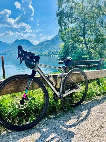 Gebrauchtes Bergamont Grandurance Expert 2024 2024 Road & Gravel