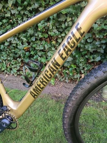American Eagle Custom SRAM X01 Eagle AXS 2020 Mountainbike usato, Grigio chiaro — immagine 19 di 22