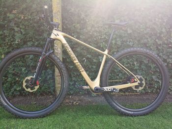 American Eagle Custom SRAM X01 Eagle AXS 2020 Mountainbike usato, Grigio chiaro — immagine 2 di 22