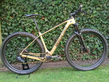American Eagle Custom SRAM X01 Eagle AXS 2020 MTB usato