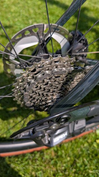 Used Orbea TERRA M20TEAM 2025 2025 Road & Gravel, Green — image 11 of 11