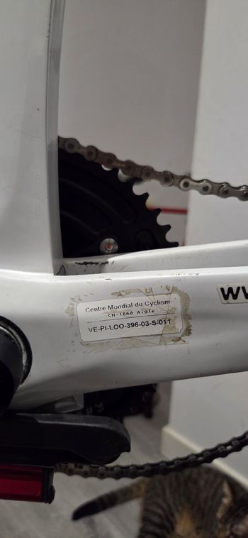 Używany Look Custom Frameset 2001 Road & Gravel — zdjęcie 6 z 15