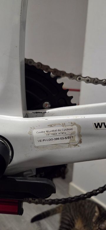 Used Look Custom Frameset 2001 Road & Gravel, White — image 6 of 15