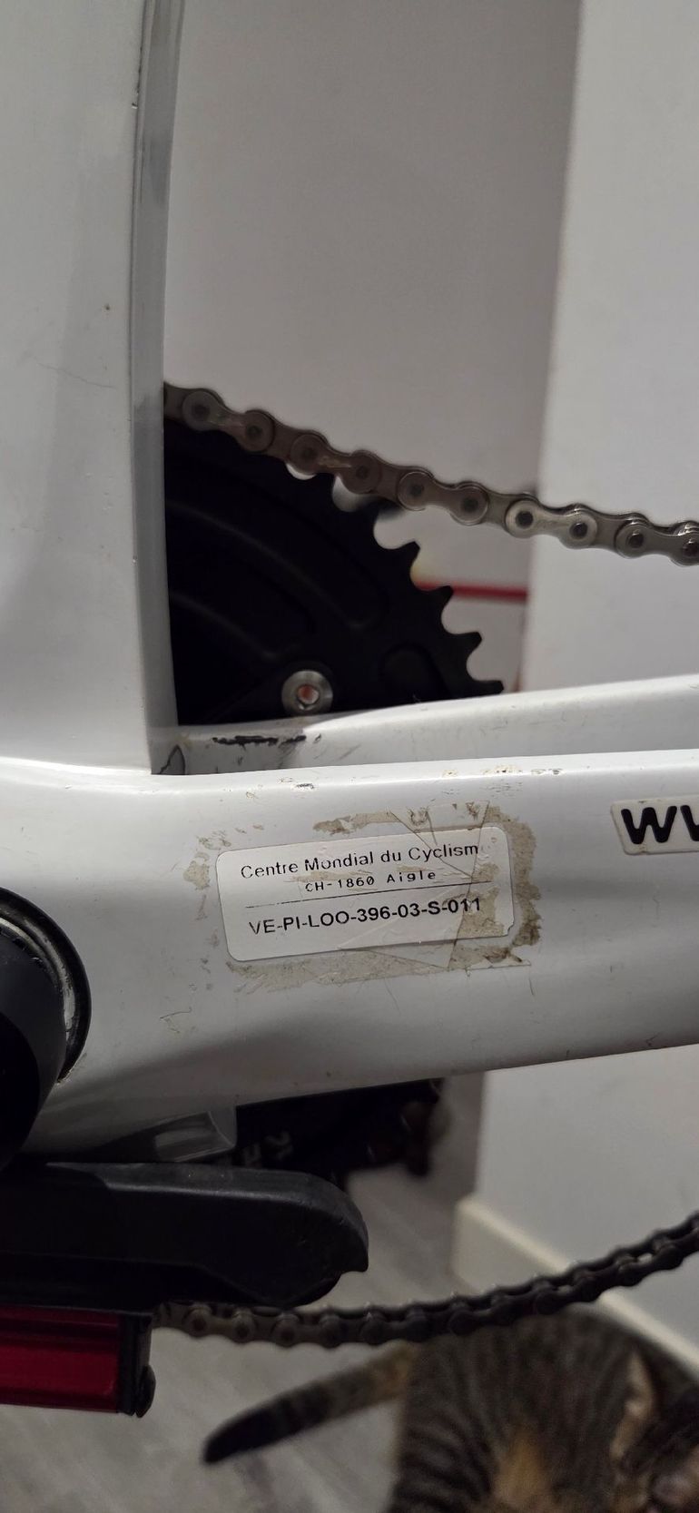 Używany Look Custom Frameset 2001 Road & Gravel — zdjęcie 6 z 15