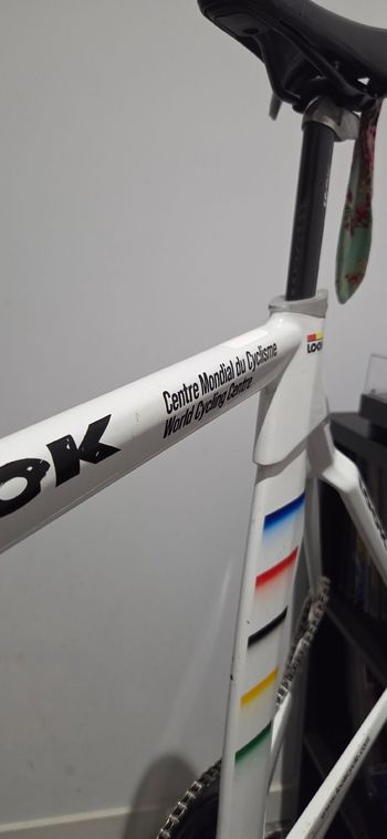Używany Look Custom Frameset 2001 Road & Gravel — zdjęcie 8 z 15