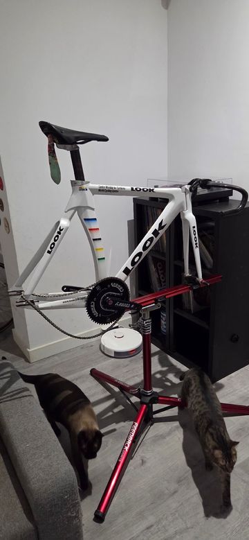 Tweedehands Look Custom Frameset 2001 Road & Gravel