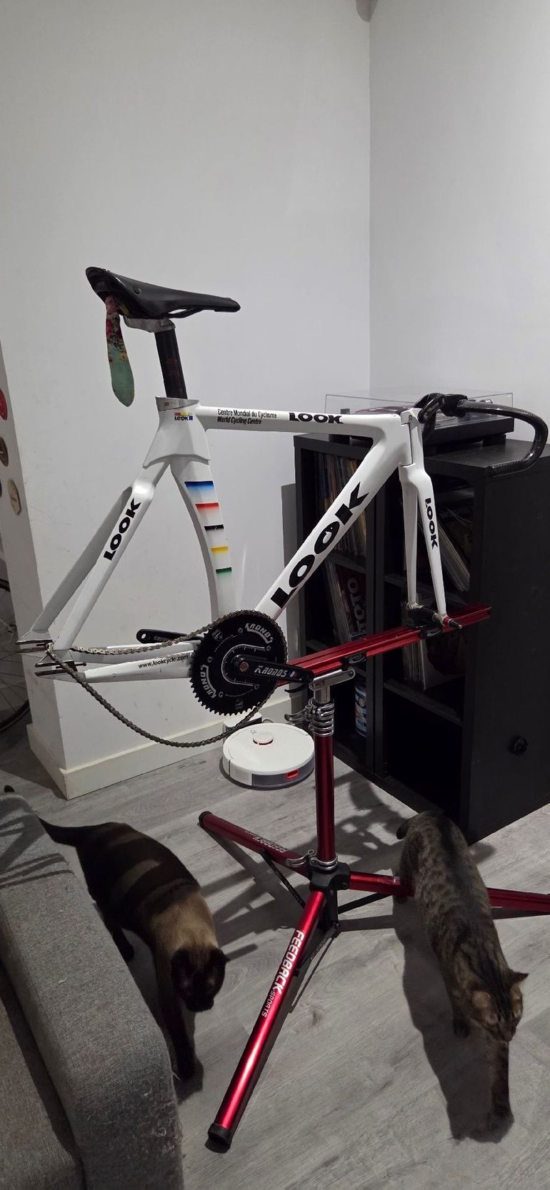 Używany Look Custom Frameset 2001 Road & Gravel — zdjęcie 1 z 15