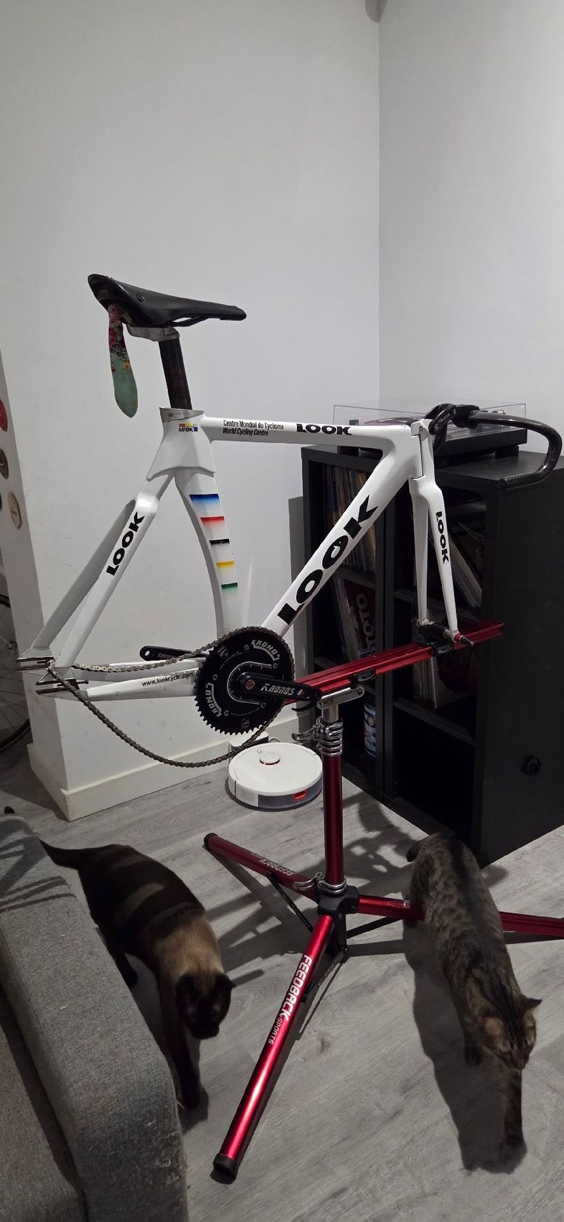 Used Look Custom Frameset 2001 Road & Gravel