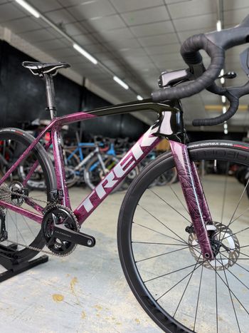 Used Trek Émonda SLR 7 2023 2023 Road & Gravel, Purple — image 3 of 24