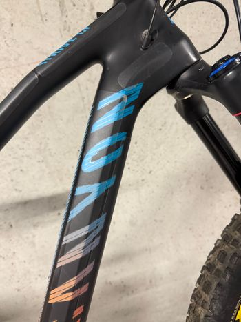 Canyon Strive CF 7.0 Race 2017 2027 Mountainbike d'occasion — image 13 sur 28