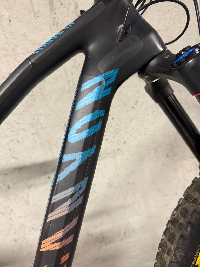 Canyon Strive CF 7.0 Race 2017 2027 Mountainbike d'occasion — image 13 sur 28