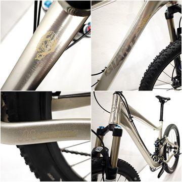 Used Giant Trance Maestro 2010 Mountainbike, Light Gray — image 10 of 12