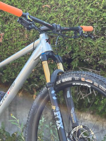 Used Liteville H-3 SRAM X01 Eagle 2023 Mountainbike, Light Gray — image 3 of 5