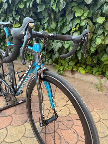 Used Pinarello Dogma 60.1 Frameset 2011 2011 Road & Gravel, Blue — image 4 of 15