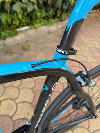 Used Pinarello Dogma 60.1 Frameset 2011 2011 Road & Gravel, Blue — image 10 of 15