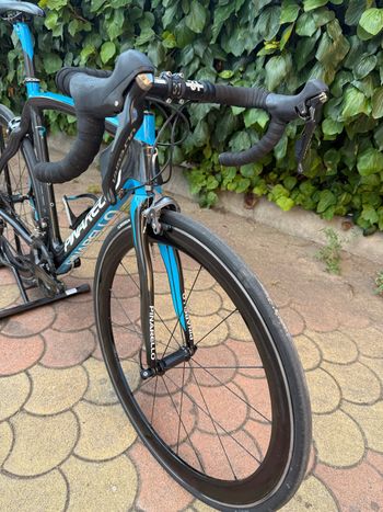 Used Pinarello Dogma 60.1 Frameset 2011 2011 Road & Gravel, Blue — image 7 of 15