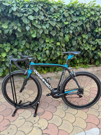 Used Pinarello Dogma 60.1 Frameset 2011 2011 Road & Gravel, Blue — image 9 of 15