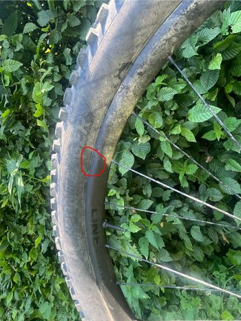 Tweedehands Trek Roscoe 8 2023 2023 Mountainbike — afbeelding 7 van 7