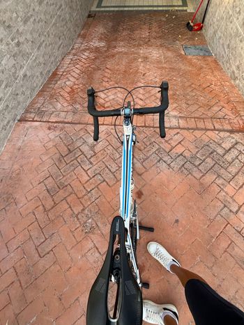 Gebrauchtes Specialized Allez E5 Sport 2017 2017 Road & Gravel, Weiß — Bild 3 von 6