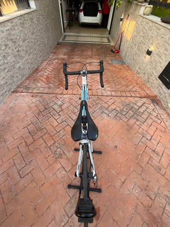 Gebrauchtes Specialized Allez E5 Sport 2017 2017 Road & Gravel, Weiß — Bild 5 von 6