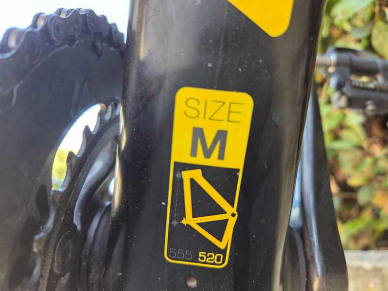 Used Olympia 799 2020 Road & Gravel, Black — image 4 of 5
