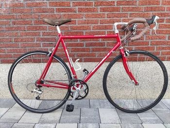 Used Gazelle Alu Pro 2005 Road & Gravel