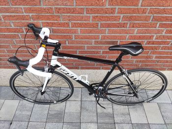 Giant Defy Aluxx 2020 Road & Gravel d'occasion — image 4 sur 17