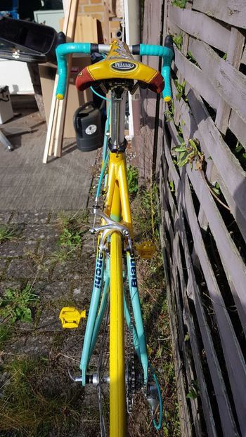 Gebrauchtes Bianchi Mega Pro XL Pantani 1998 1998 Road & Gravel, Grün — Bild 3 von 17