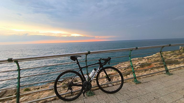 Giant TCR Advanced 2 Disc Pro Compact 2020 2020 Road & Gravel d'occasion — image 8 sur 9