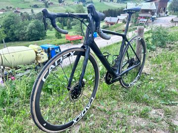 Gebrauchtes Giant TCR Advanced SL Disc Frameset 2024 2024 Road & Gravel