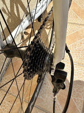 Used Storck Fenomalist Campagnolo Super Record 2015 Road & Gravel, White — image 7 of 28