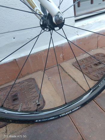 Scott Addict 10 2017 2017 Road & Gravel usato, Bianco — immagine 5 di 9