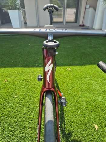 Specialized S-Works Tarmac SL8 Frameset Team 2024 Frameset 2024 Road & Gravel d'occasion — image 5 sur 6