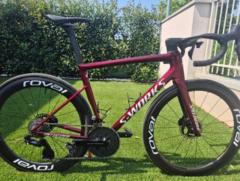 Used Specialized S-Works Tarmac SL8 Frameset Team 2024 Frameset 2024 Road & Gravel