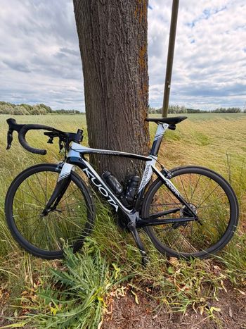 Used Kuota Karma Evo Carbon 2014 Road & Gravel, White — image 14 of 14