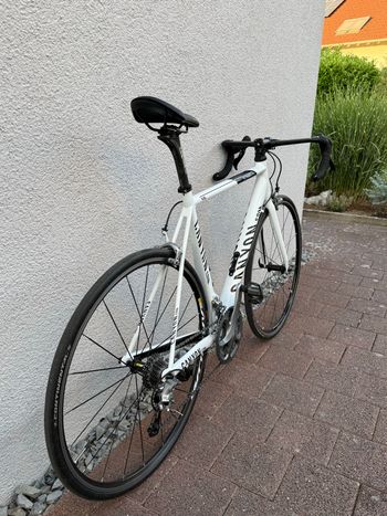 Gebrauchtes Canyon Ultimate CF SLX 8.0 2018 2018 Road & Gravel, Weiß — Bild 11 von 12