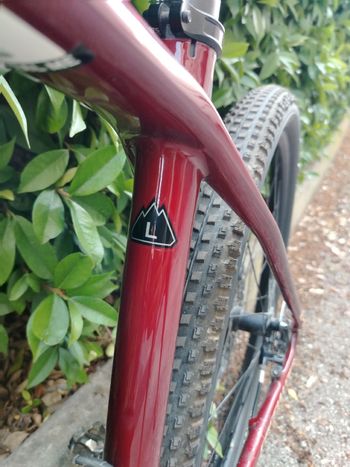 Used Specialized Epic SRAM GX Eagle 2024 Mountainbike, Red, 29 — image 7 of 9