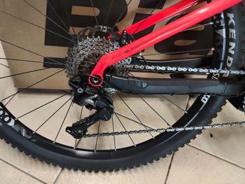 Used Orbea wild Custom Other Shimano 2020 Mountainbike, Red — image 2 of 3