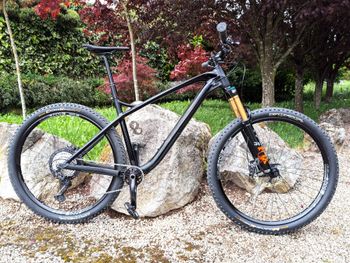 Alutech Cheap Trick 29" Mod. 2021 2021 Mountainbike d'occasion — image 3 sur 16