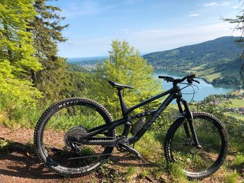 Used Canyon Spectral 29 CF 7 2021 Mountainbike, Black — image 2 of 14