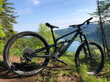 Used Canyon Spectral 29 CF 7 2021 Mountainbike, Black — image 9 of 14