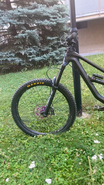 Used Canyon Torque AL 5.0 2020 2020 Mountainbike, Black, 27.5 — image 3 of 6