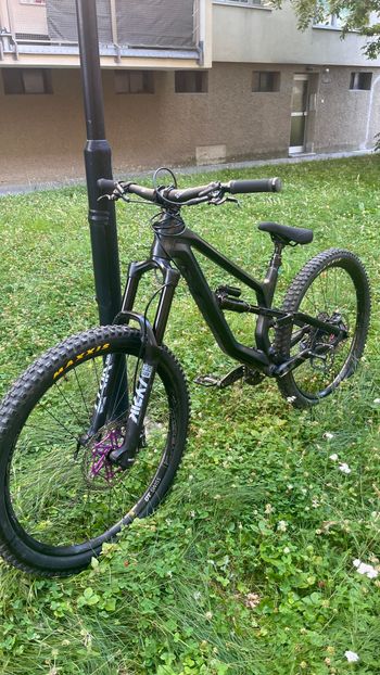 Used Canyon Torque AL 5.0 2020 2020 MTB