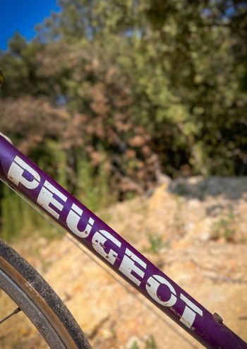 Peugeot Velo SRAM Rival eTap AXS 1980 Road & Gravel d'occasion — image 2 sur 8