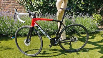 Used Trek Émonda SL 6 Disc 2022 2022 Road & Gravel, Black — image 12 of 14