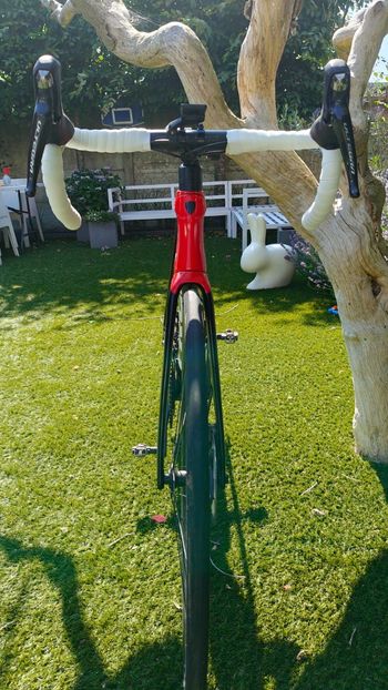 Used Trek Émonda SL 6 Disc 2022 2022 Road & Gravel, Black — image 2 of 14