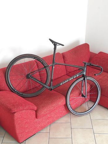 Tweedehands Giant TCR Advanced SL Disc Frameset 2023 Frameset 2023 Racefiets & gravel