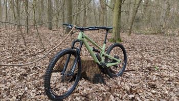 Tweedehands Canyon Spectral 125 CF 7 2023 2023 MTB